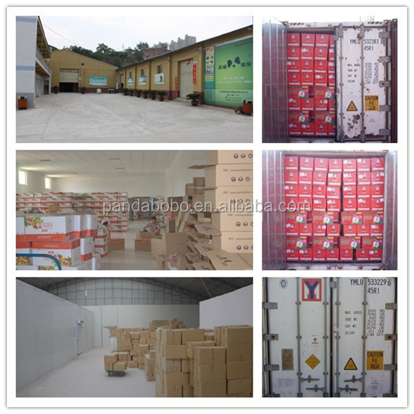 New crop We are the red onion exporters in china in factory price in 2014 in high quality