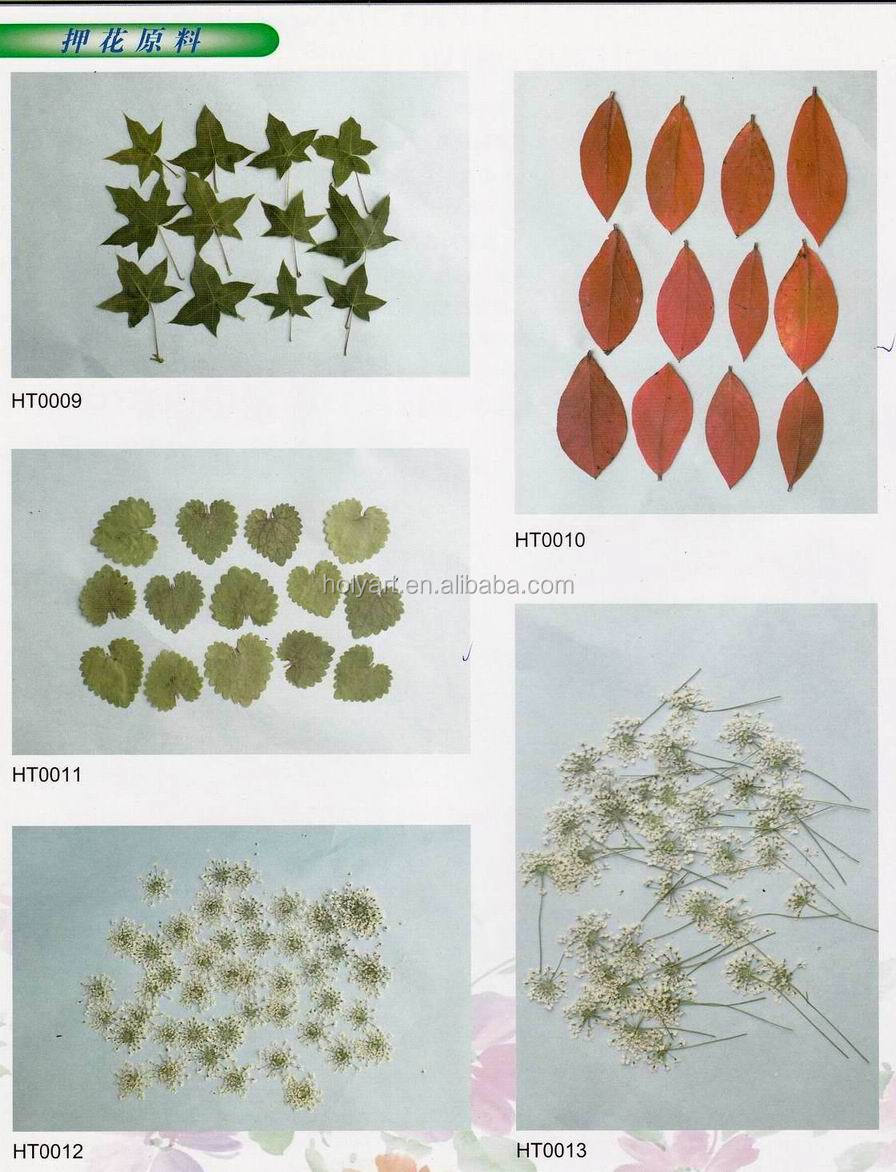catalogue (1).jpg