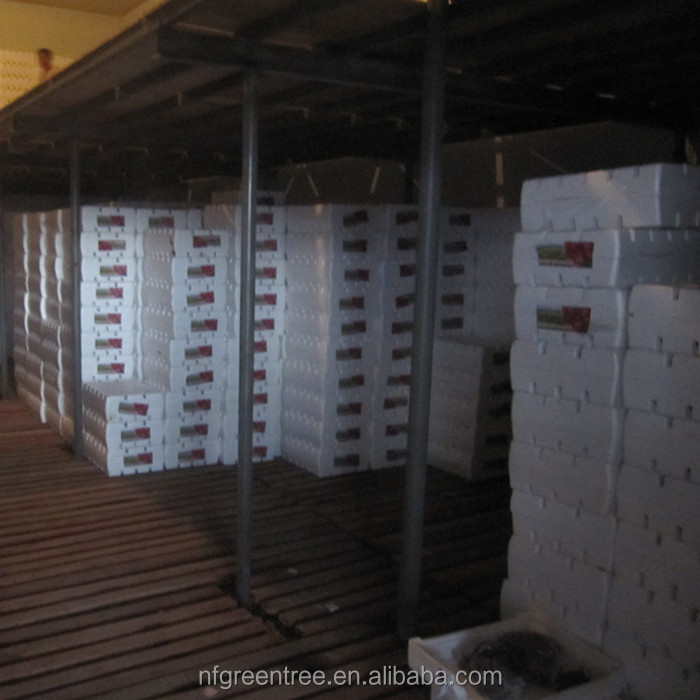 Typical sweet grape sugar from original supplier