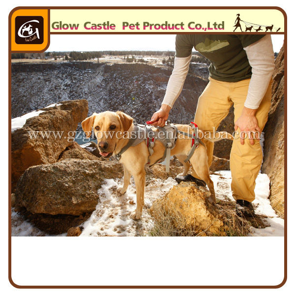 Glow Castle Outdoor Dog Harness (5).jpg