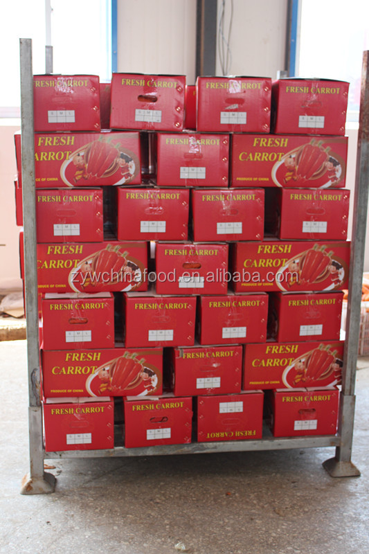 New Farm Fresh Carrot For South Asia