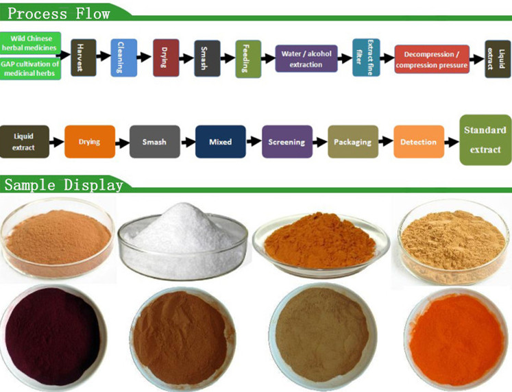natural caffeine green tea extract polyphenol powder,China RONGDE price