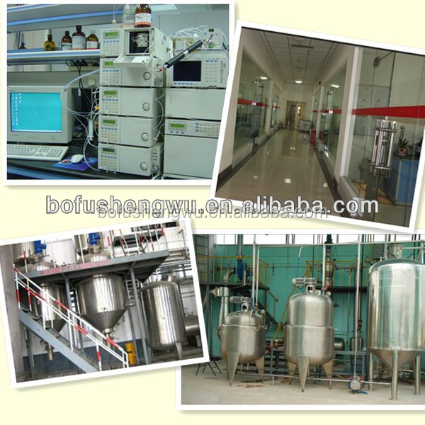 aloe vera extraction machine,total saponins aloe vera extract