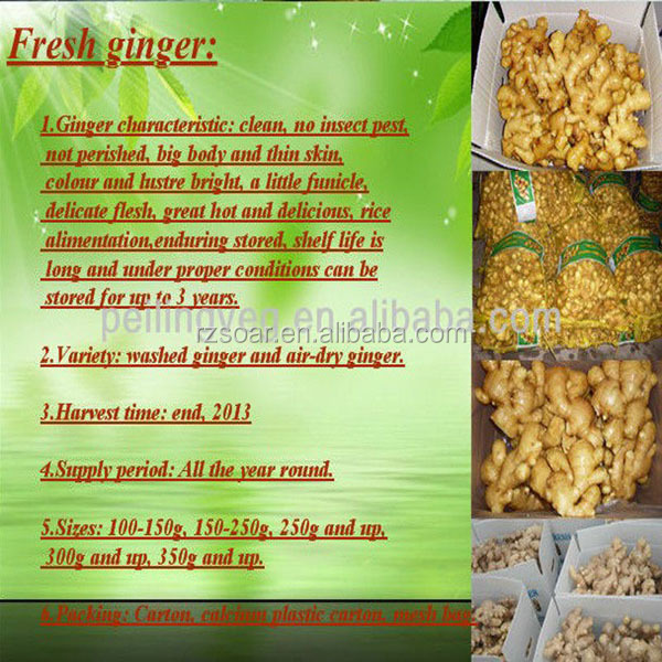 air- drying ginger