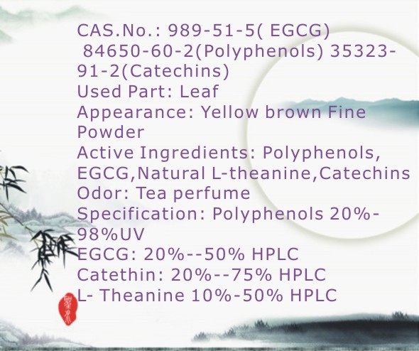 GMP Green tea extract powder