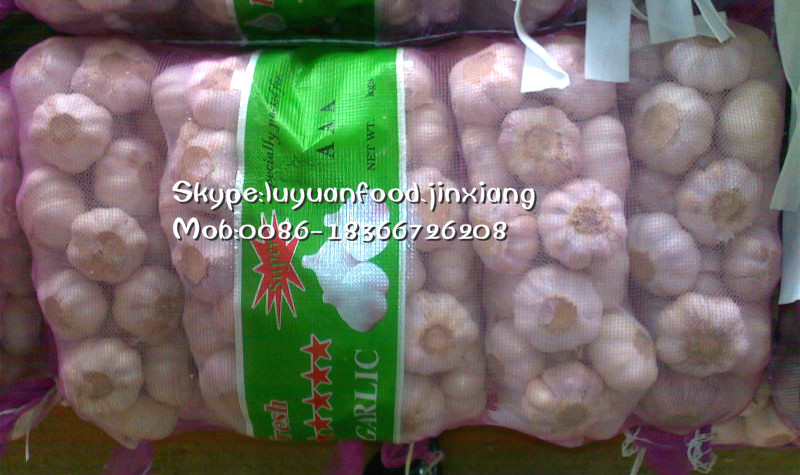 2014 fresh garlic in mesh bag