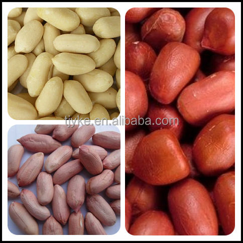 peanut kernels ,BIGGEST PEANUT & PUMPKIN SEEDS FACTORY