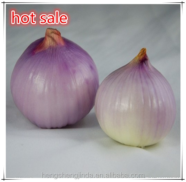 2014 seasonable fresh onion