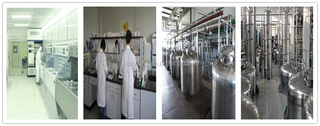 Green Tea Extract Powder,Green Tea Extract Capsules,Green Tea Extract 98%