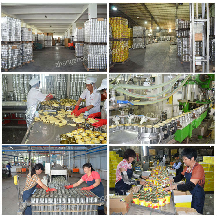 Food product canned button mushroom tin can