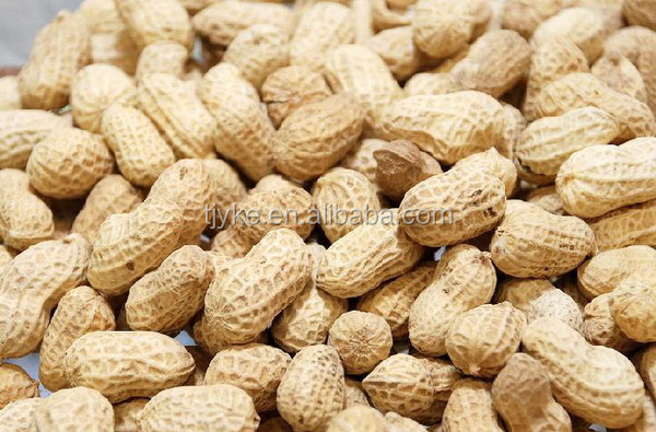 washed peanut in shell 9/11,11/13