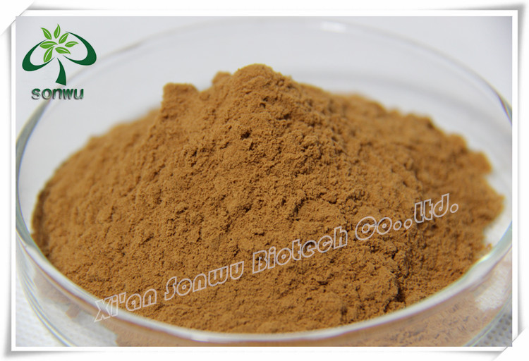 High Quality Cinnamon bark extract/cinnamaldehyde/eugenol