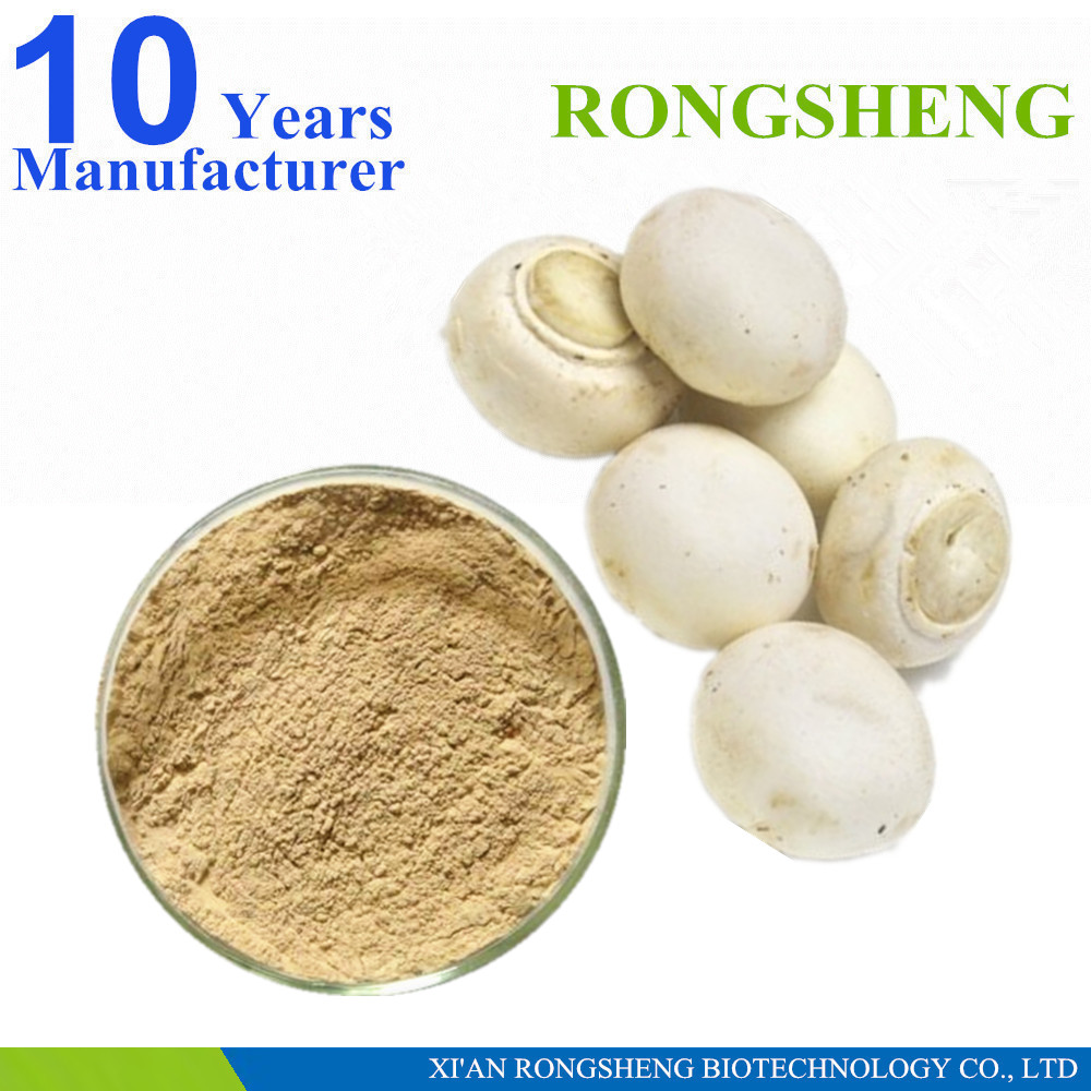 Natural Organic White Button Mushroom Extract Powder Buy White Button