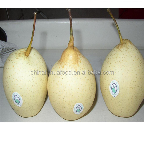 2014 New Crop Pear
