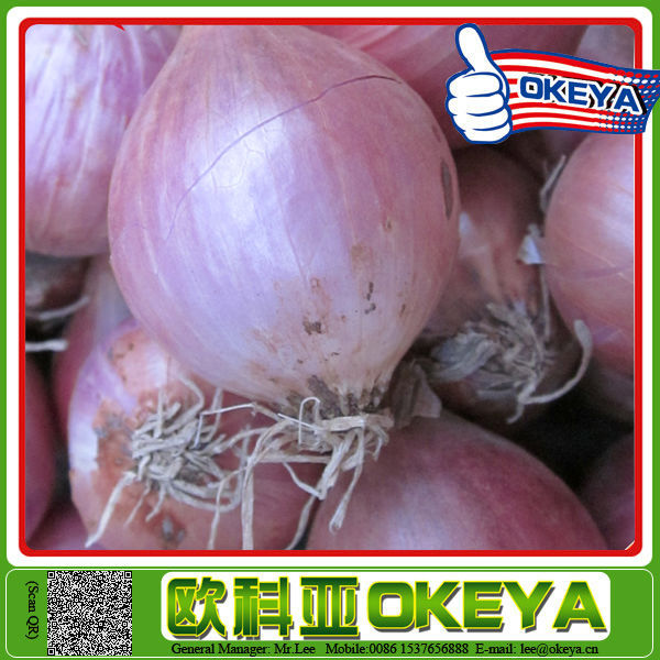 ISO9001 Certificated textured vegetable soy protein