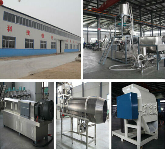 Automatic Core filling snacks machinery/Machines