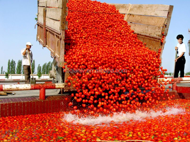 Easy Open Tinned Tomato Paste with plastic cover 210gram, 400gram, 800gram