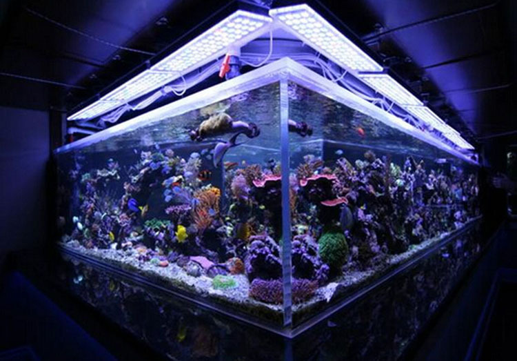 ledアクアリウムライト調光可能な高品質レンズ付き72ワット成長のためによいサンゴ礁90cm36のled釣りのタンク問屋・仕入れ・卸・卸売り
