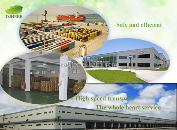 Cocoa extract,cocoa seed extract,cocoa extract powder