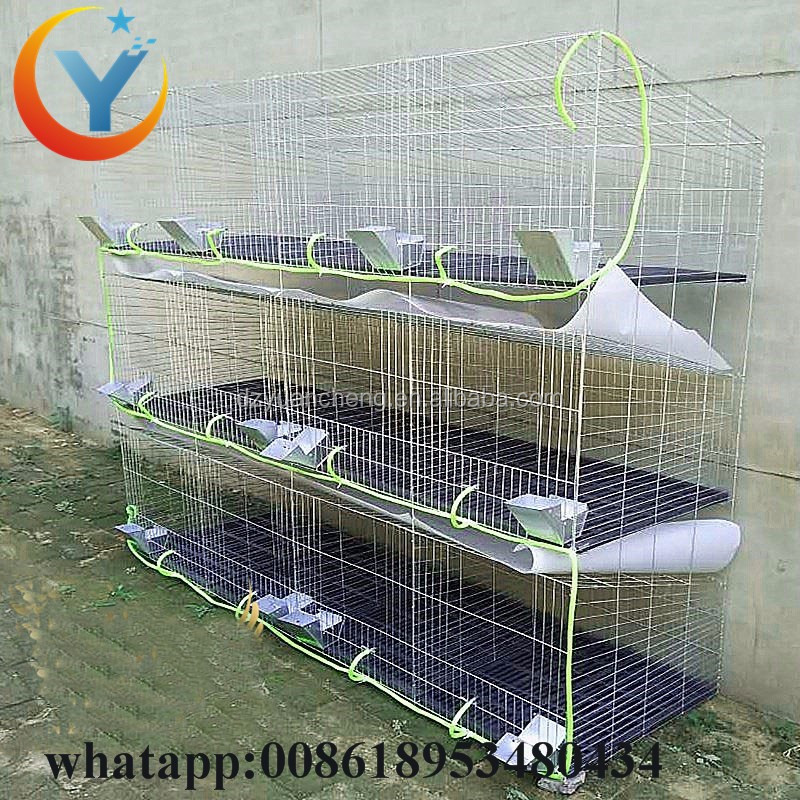 Galvanized Rabbit Cage Design And Cheap Commercial / Industrial Rabbit