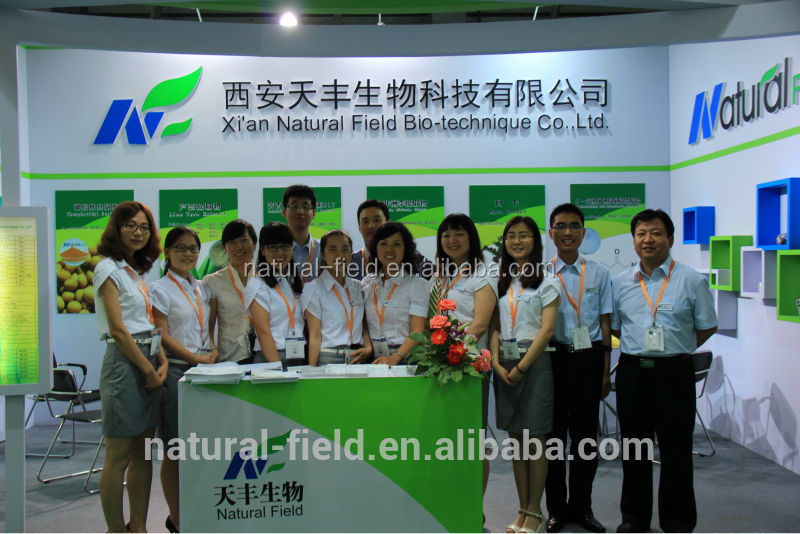 CAS NO.:491-70-3 luteolin powder 98%