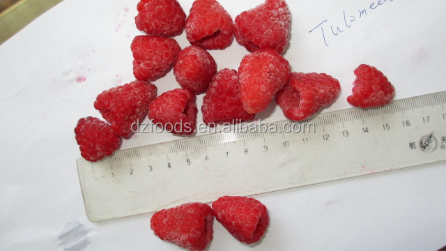 raspberry ketone extract