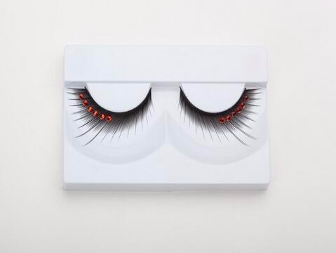 beauty lash.jpg