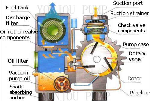 Rotary vane vacuum pumps