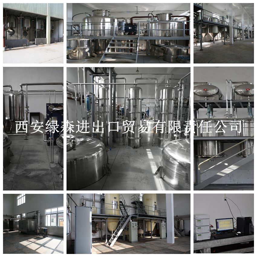 Green Tea Extract Powder Green Tea Polyphenols