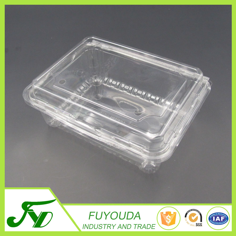 長方形の透明なプラスチック製のフルーツ包装容器仕入れ・メーカー・工場