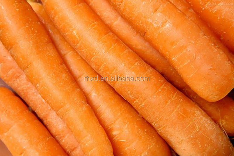 2014 new crop fresh carrot price