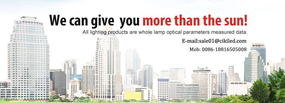 High lumen Epileds chip COB IP65 waterproof outdoor 100w led flood light