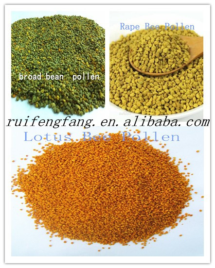 100% pure pine pollen extract from bee keeping factory with best price