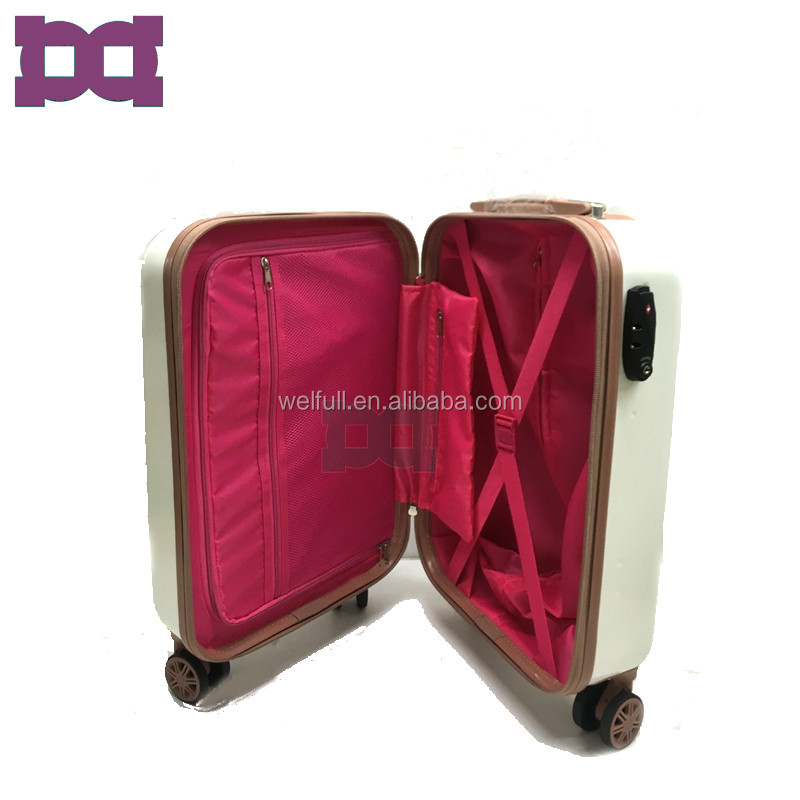 trolley luggage.jpg