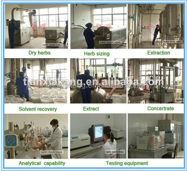 Hot Selling 100% Natural Pure Cocoa Powder 10%-20% Theobromine Cocoa Bean Extract Powder, Organic Cocoa Powder