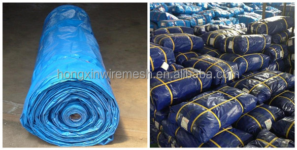 PE tarpaulin packing.jpg