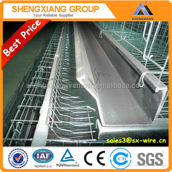 Chicken Layer Cage