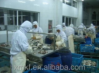 price of canned tuna in vegetable oil