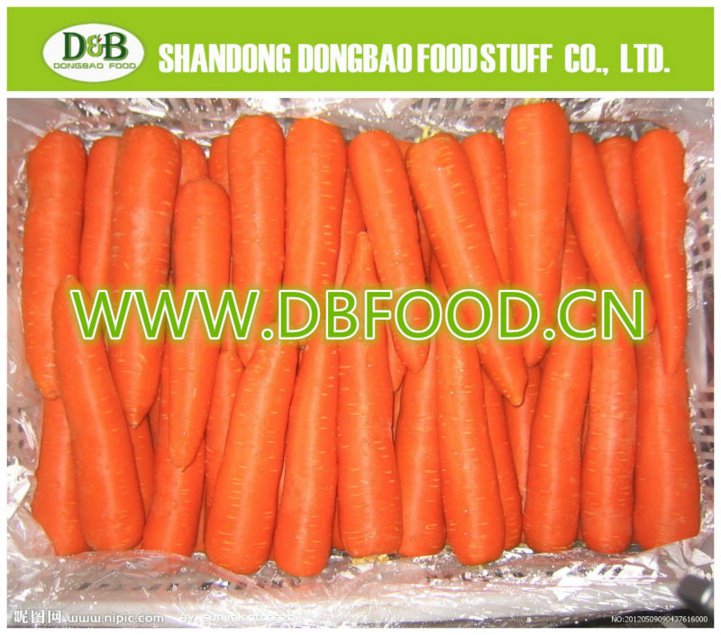 Fresh Carrot 80-150g Factory supply New Crop high quality