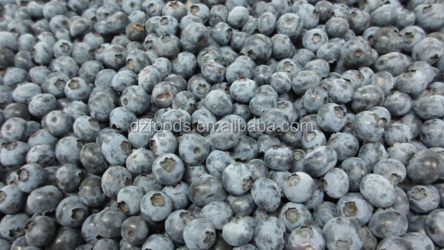 blueberry container