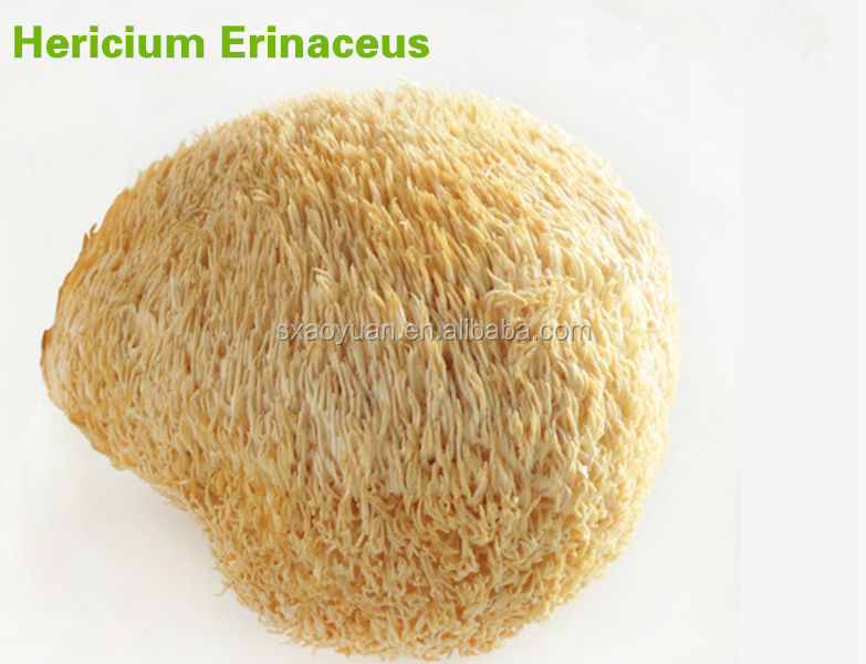 Grape Seed P.E Procyanidin 95% UV CAS NO.: 84929-27-1