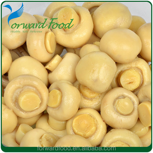 canned abalone mushroom in brine