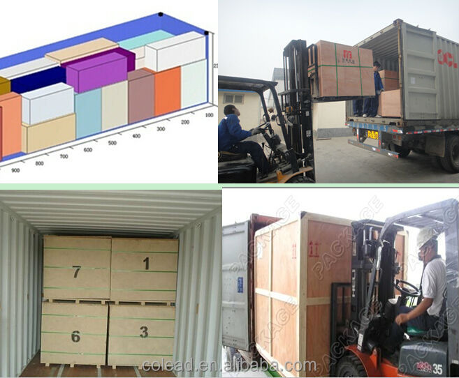 mushroom slicing machine/canned mushroom processing line /mushroom processing /washing