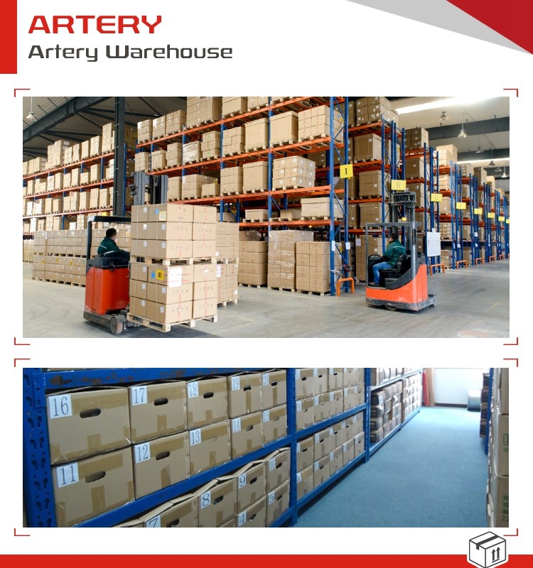 Artery 5