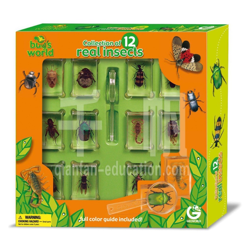 Bug world 1