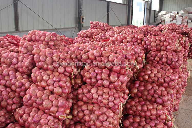 wholesale fresh red onion