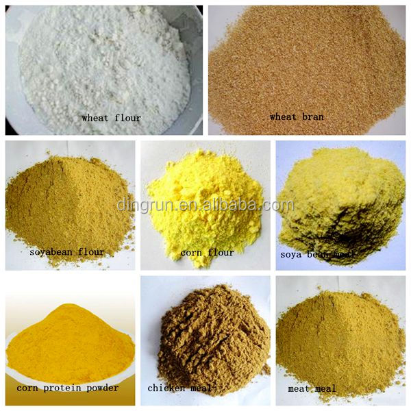Dog feed processing line