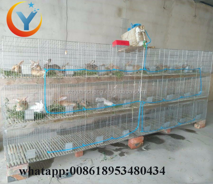 Galvanized Rabbit Cage Design And Cheap Commercial / Industrial Rabbit