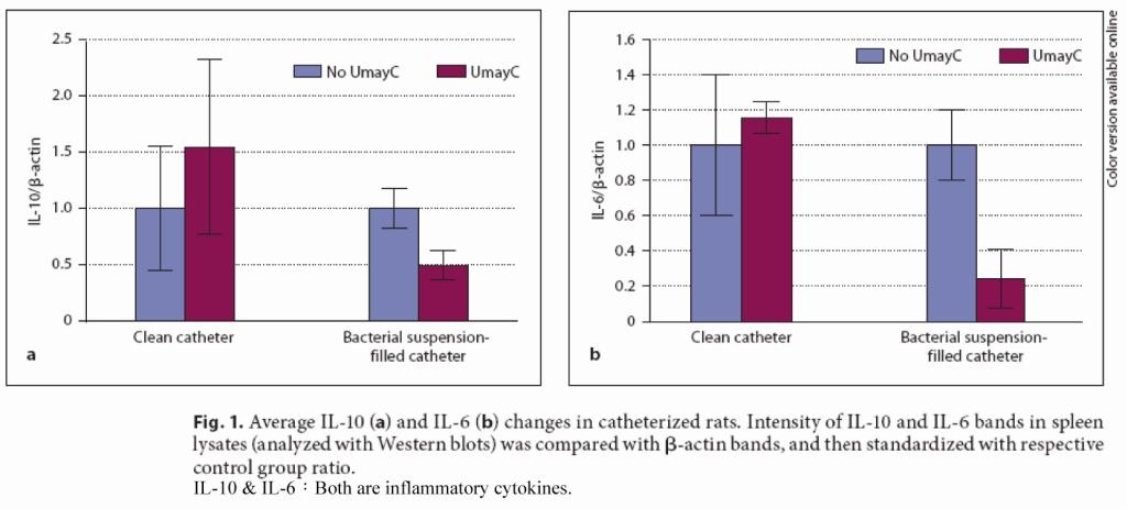 The formulation be recommended for prevention of urinary tract infections from cranberry