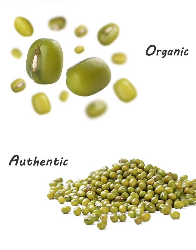 best quality sprouted green mung beans